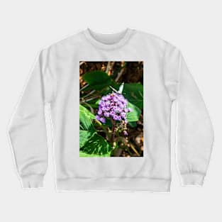 Butterfly and Bee in the Botanical Garden Crewneck Sweatshirt